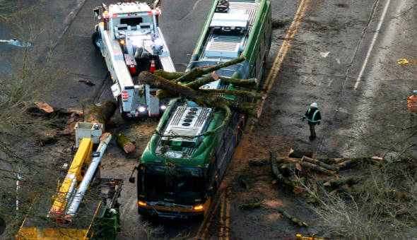 అమెరికాలో బీభత్సం .. అంధకారంలో 6 లక్షల అమెరికాలో బీభత్సం .. అంధకారంలో 6 లక్షల