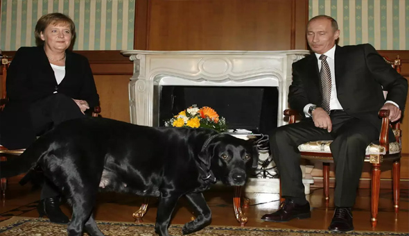 జర్మనీ మాజీ ఛాన్సలర్‌కు క్షమాపణలు చెప్పిన పుతిన్‌!