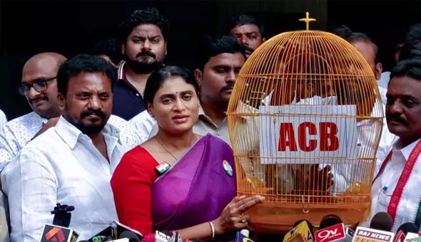 YS Sharmila: అమెరికా సంస్థలు బయటపెడితే.. మన సంస్థలు మాత్రం