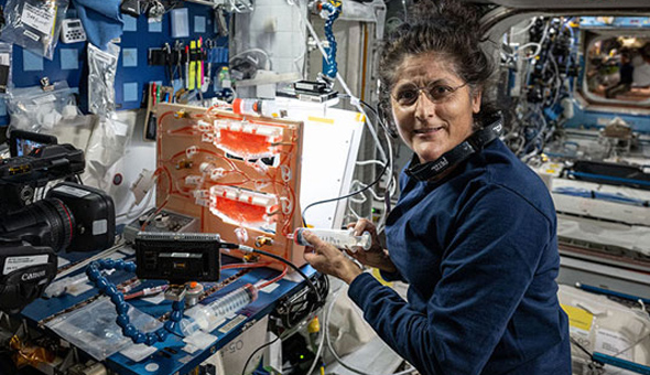 Sunita Williams: వచ్చే ఏడాది సునీతా విలియమ్స్‌ స్పేస్‌వాక్‌!